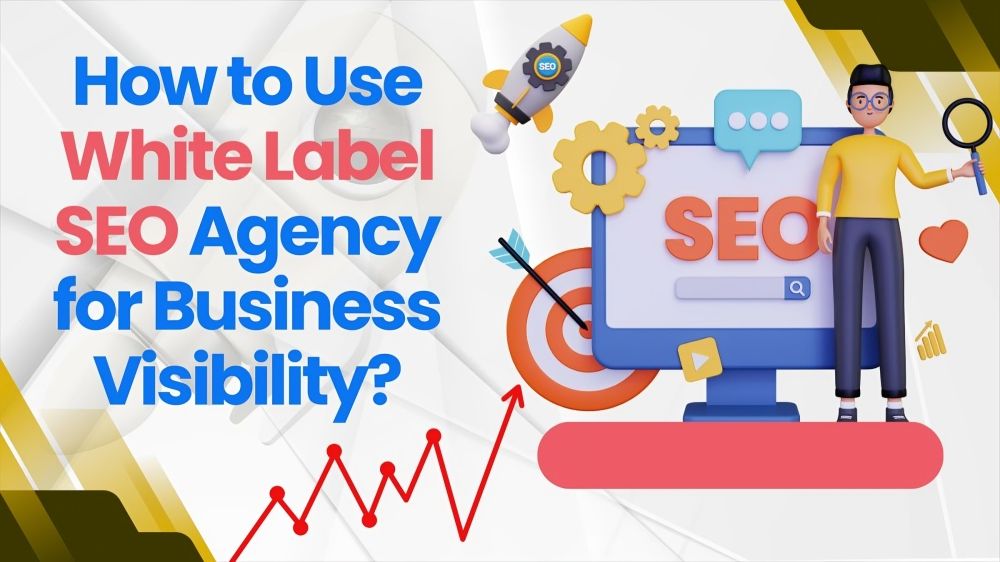 How to Use White Label SEO Agency for Business Visibility?